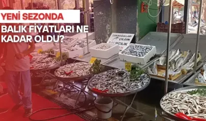YASAK SONRASI BALIK FİYATLARI NE DURUMDA