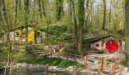 Kocaeli Ormanya Nerede? Doğayla İç İçe Bir Tabiat Parkı