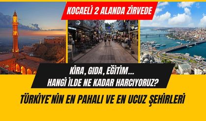 Türkiye’de Yaşam Nerede Ucuz, Nerede Pahalı? Kocaeli'de Eğlence El Yakıyor!