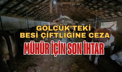 Gölcük'teki Besi Çiftliğine Ceza: Mühür İçin Son İhtar