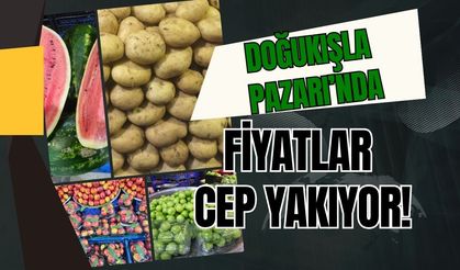 Kocaeli Güncel Pazar Fiyatları: Cepler Yanacak