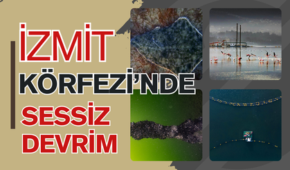 İzmit Körfezi’nde Sessiz Devrim: Dip Çamuru Gitti,Mekanın Sahipleri Geri Döndü