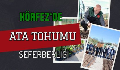 Körfez’de Ata Tohumu Seferberliği: İlimtepe’de Geçmiş Gelecekle Buluşuyor