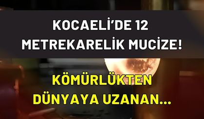 Kocaeli'de 12 Metrekarelik Mucize! Kömürlükten Bozma Atölyede Dünyaya Kafa Tutan Türk Usta