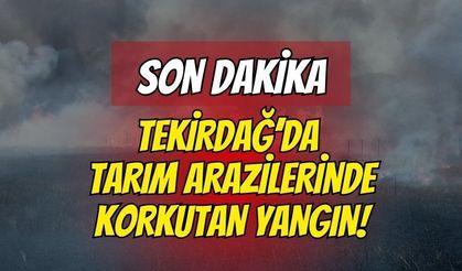 Tekirdağ'da tarım arazilerinde feci yangın: 700 dönüm alan ve 20 konteyner kül oldu!