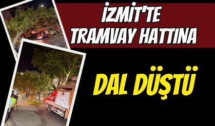 İzmit'te tramvay hattına dal düştü: Seferler aksadı