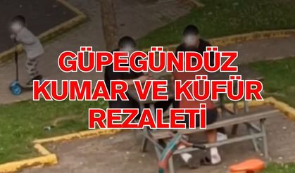 Derince'de Güpegündüz Kumar ve Küfür Rezaleti! Çocuk Parkında Huzuru Bozan Gruba Tepki Yağıyor