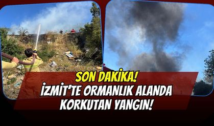 Son Dakika | İzmit Hatipköy'de Ormanlık Alanda Yangın Çıktı! İtfaiye Seferber Oldu