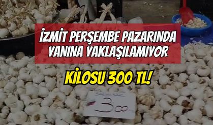 İzmit Perşembe Pazarında Yanına Yaklaşılamıyor: Kilosu 300 TL!