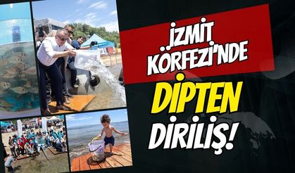İzmit Körfezi’ne Dipten Diriliş Hamlesi: 100 Yapay Resif ve 6 Bin Değerli Balık Denize Bırakıldı!