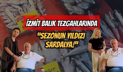 İzmit Balık Tezgahlarında Sezonun Yıldızı Sardalya!