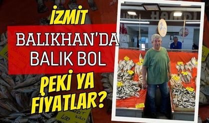 İzmit Balıkhan'da Balık Bol, Fiyatlar Dengeli: İşte Fiyat Listesi