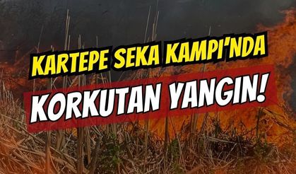 Kartepe SEKA Kampı’nda Korkutan Yangın: 10 Dönümlük Sazlık Alan Kül Oldu!