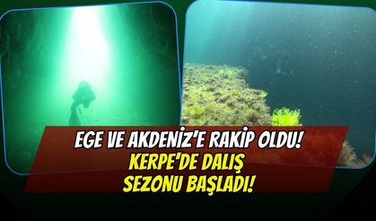 Ege ve Akdeniz'e Kocaeli Rakip Oldu! Kandıra Kerpe'de Dev Dalış Sezonu Resmen Başladı