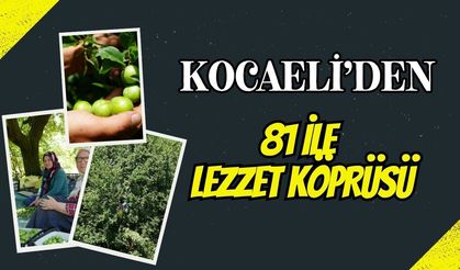 Kocaeli'den 81 İle Lezzet Köprüsü: Ünlü Eşme Eriğinde "Kastarca" Mesaisi ve Güncel Bahçe Fiyatları