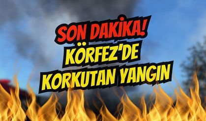 TEM Otoyolu Körfez Mevkiinde Tır Alev Alev Yandı