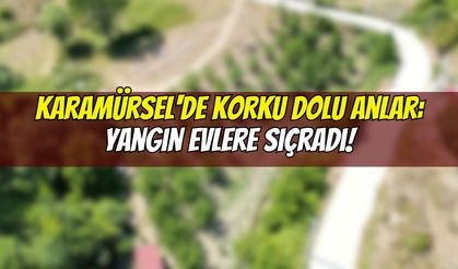 Karamürsel'de Korku Dolu Anlar: Yangın Evlere Sıçradı!