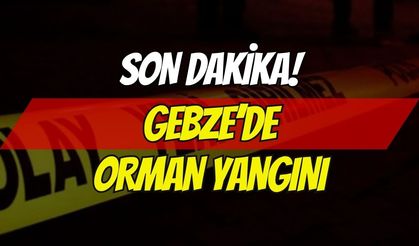 Son Dakika: Gebze'de Orman Yangını