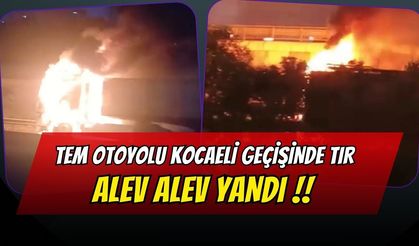 TEM Otoyolu Kocaeli Geçişinde Tır Alev Alev Yandı!