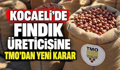 Kocaeli’de Fındık Üreticisine TMO’dan Yeni Karar