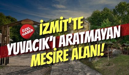 İzmit’te Yuvacık’ı Aratmayan Mesire Alanı