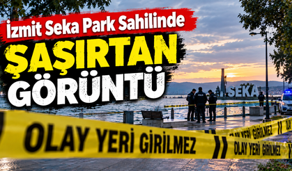 İzmit’te Seka Park Sahilinde Şaşırtan Görüntü
