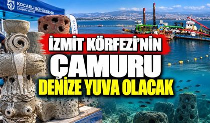 İzmit Körfezi’nin çamuru denize yuva olacak