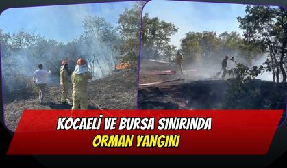 Kocaeli ve Bursa Sınırında Orman Yangını
