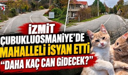 İzmit Çubukluosmaniye'de Mahalleli İsyan Etti: “Daha Kaç Can Gidecek?”