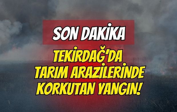 Tekirdağ'da tarım arazilerinde feci yangın: 700 dönüm alan ve 20 konteyner kül oldu!