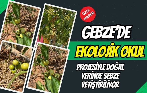 Gebze Barış Mahallesi’nde Eğitim Devrimi: 100. Yıl Ortaokulu’nda Hem Çift Yabancı Dil Hem Ekolojik Bahçe!