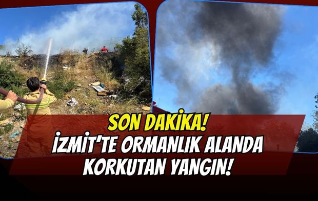 Son Dakika | İzmit Hatipköy'de Ormanlık Alanda Yangın Çıktı! İtfaiye Seferber Oldu