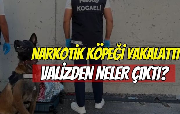 Narkotik köpeği yakaladı: Valizden 21 bin ecza çıktı