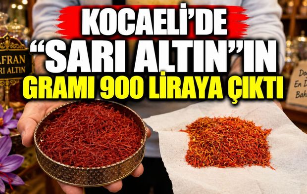 Kocaeli’de “sarı altın”ın gramı 900 liraya çıktı