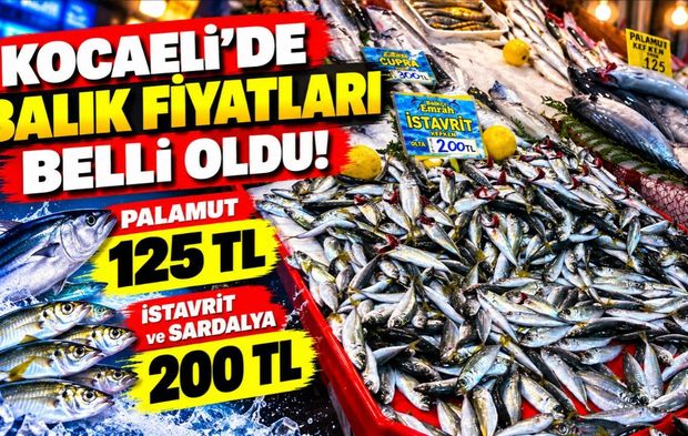 Kocaeli'de balık fiyatları belli oldu! Palamut 125 TL, istavrit 200 TL