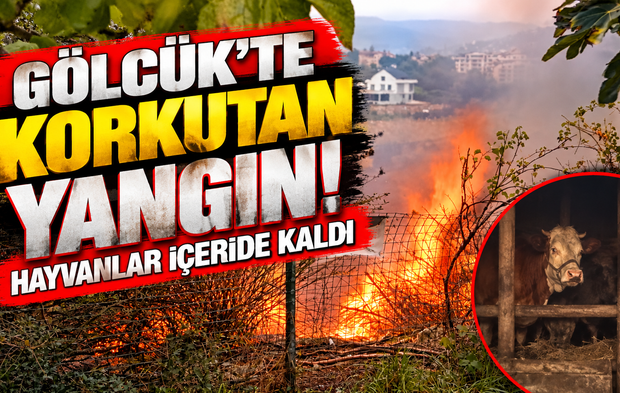 Gölcük’te Korkutan Yangın! Hayvanlar İçeride Kaldı