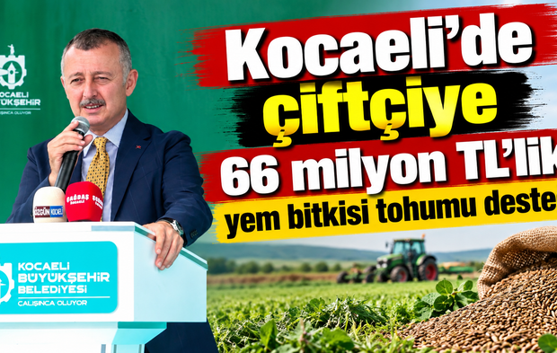 Kocaeli’de çiftçiye 66 milyon TL’lik yem bitkisi tohumu desteği