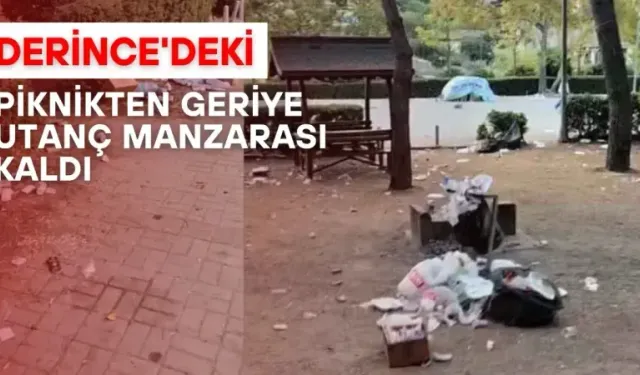 Derince'deki piknikten geriye utanç manzarası kaldı