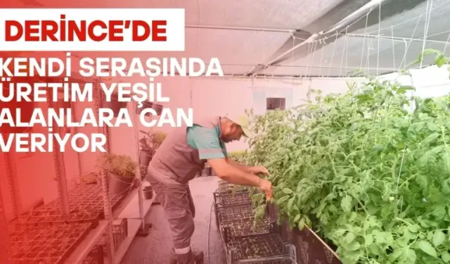 Derince Belediyesi’nden kendi serasında yeşil atılım