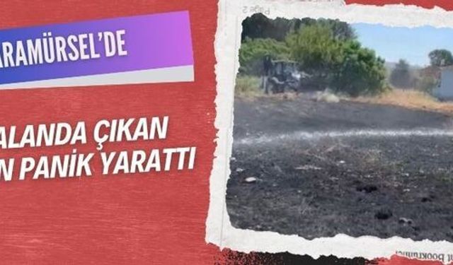 Karamürsel’de tarlada çıkan yangın panik yarattı 
