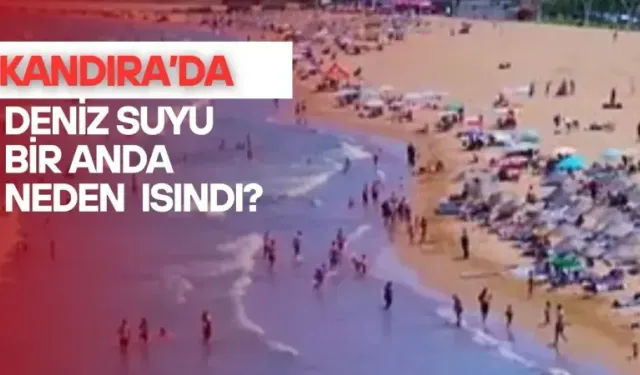 Kandıra’da deniz suyu bir anda neden ısındı?