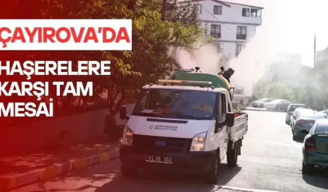 Haşerelere karşı etkin mücadele Çayırova’da sürüyor