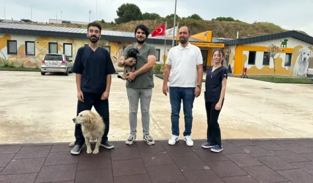 Çayırova'da zifte bulanmıştı, rehabilitasyon merkezinde yaşama tutundu