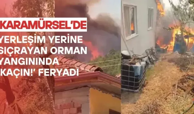 Karamürsel’de yerleşim alanına sıçrayan orman yangınında 'kaçın' feryatları yükseldi