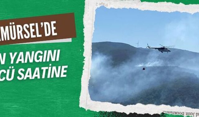 Karamürsel’de orman yangınına 963 personel 16 hava aracıyla müdahale ediyor