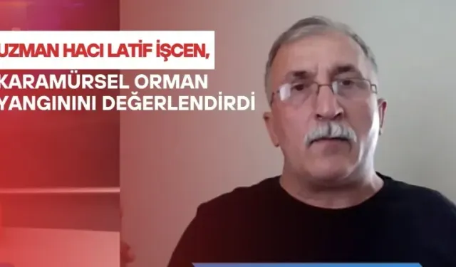 Uzman Hacı Latif İşcen, Karamürsel Orman Yangınını Değerlendirdi 