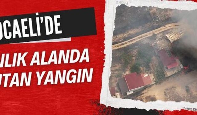 Derince’de orman yangını evlere sıçradı