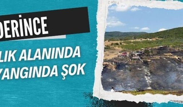 Derince’de 2 saatte kontrol altına alınan orman yangını 5 evi vurdu