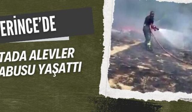 Derince’de 3 gün arayla aynı noktada yangın şoku