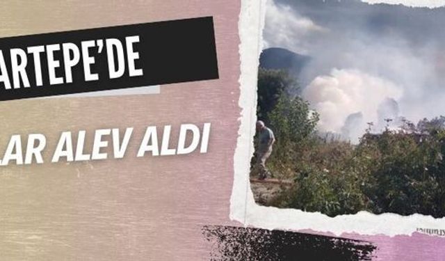 Kartepe'de sazlık alan cayır cayır yandı